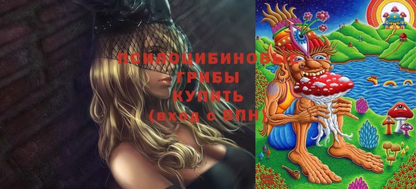 прущая мука Белокуриха