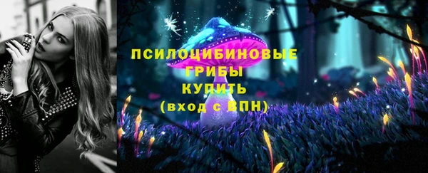 прущая мука Белокуриха