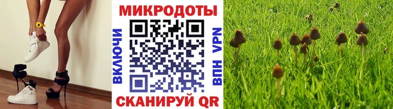 Галлюциногенные грибы Cubensis  Краснослободск 